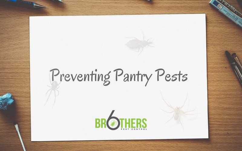 Preventing Pantry Pests