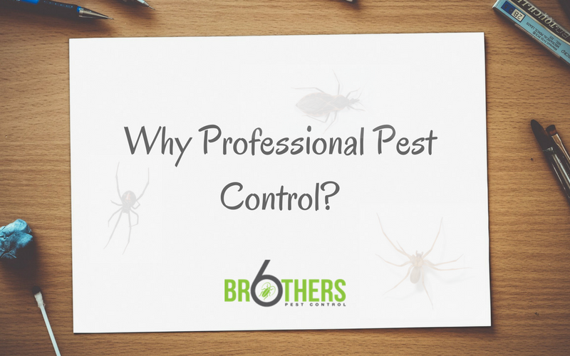 Why Professional Pest Control?
