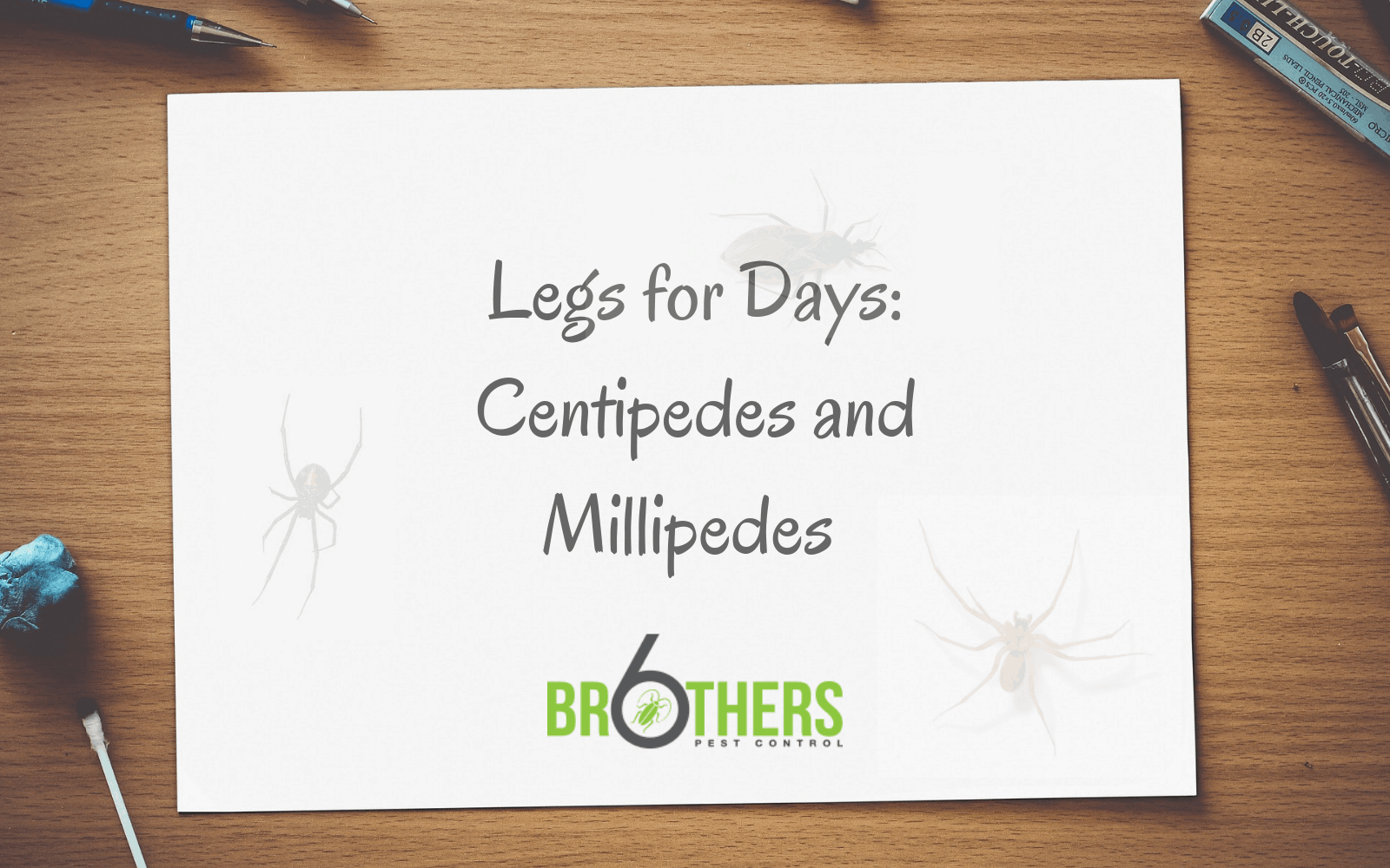 Legs for Days: Centipedes and Millipedes