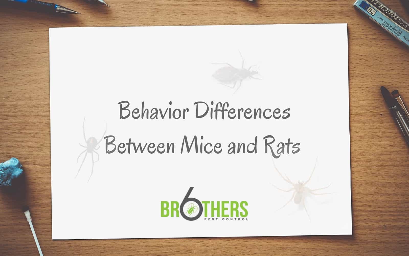 Behavior Differences Between Mice and Rats