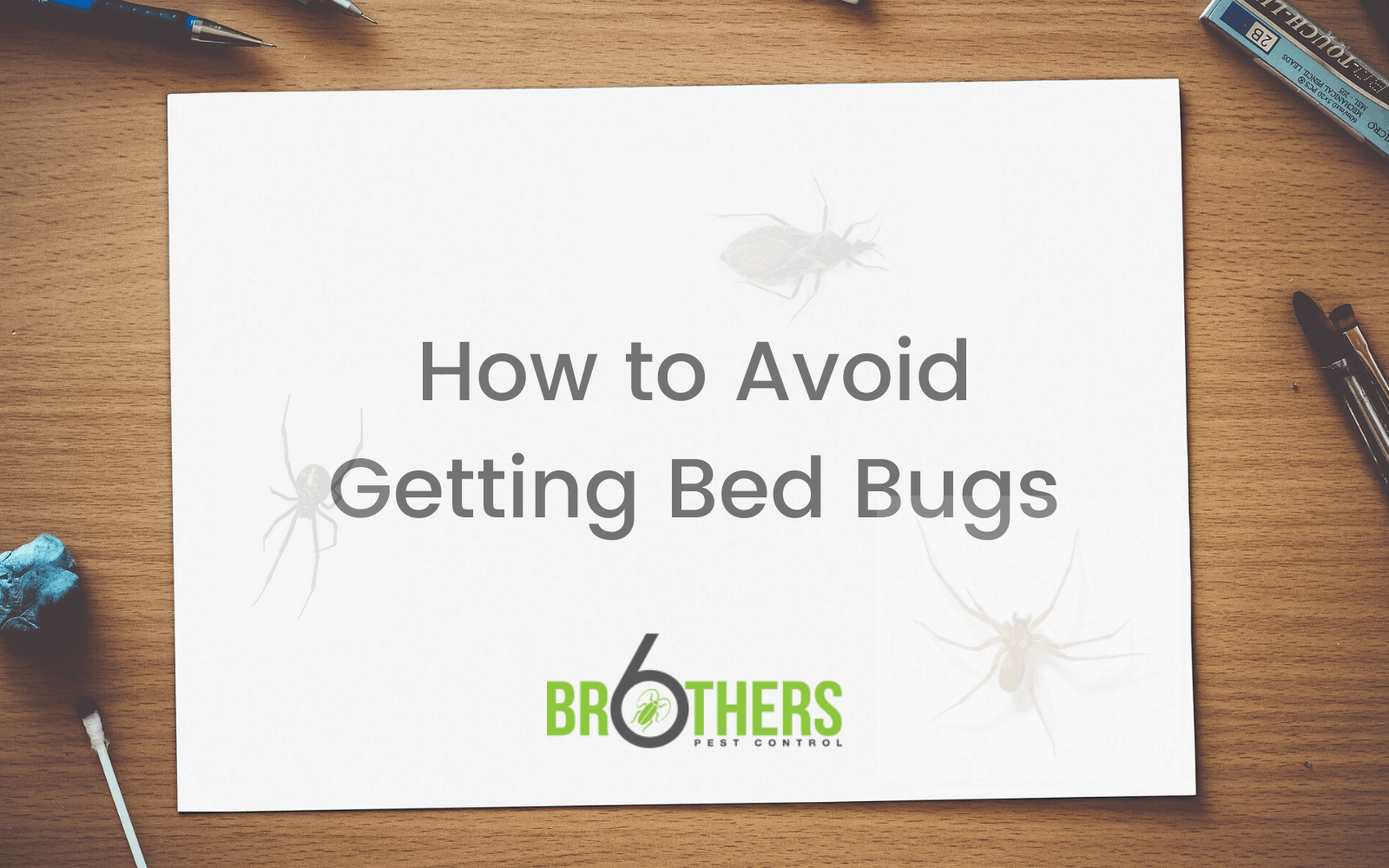 How to Avoid Getting Bed Bugs (And What To Do If You Get Them)