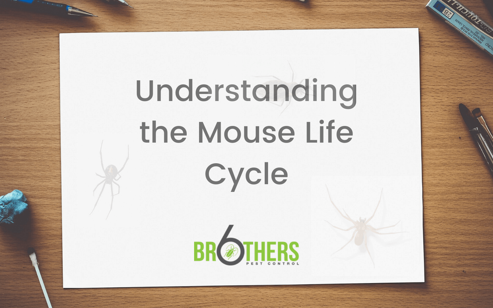 Understanding the Mouse Life Cycle