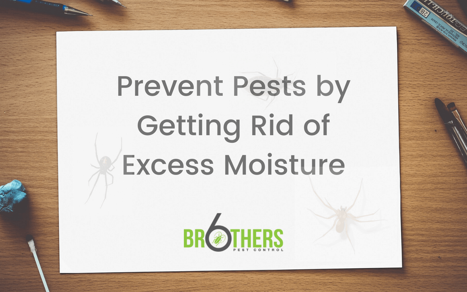 Prevent Pests by Getting Rid of Excess Moisture 