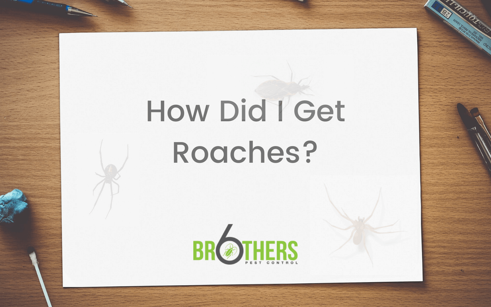 How Did I Get Roaches?