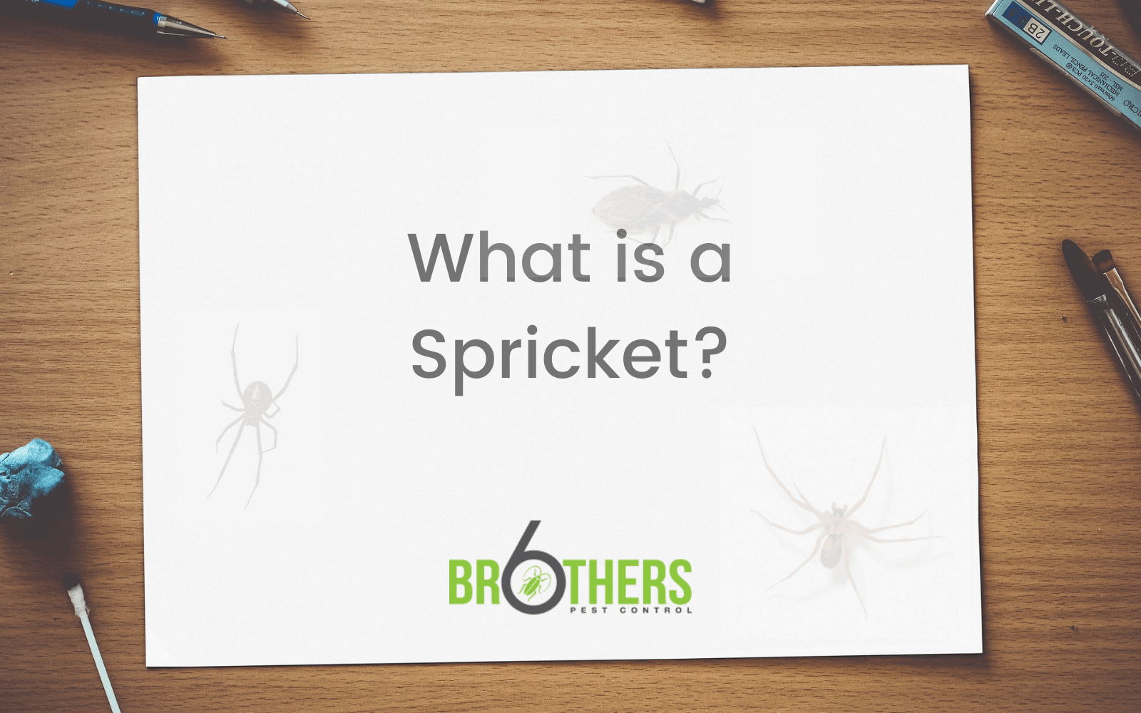 What is a Spricket?