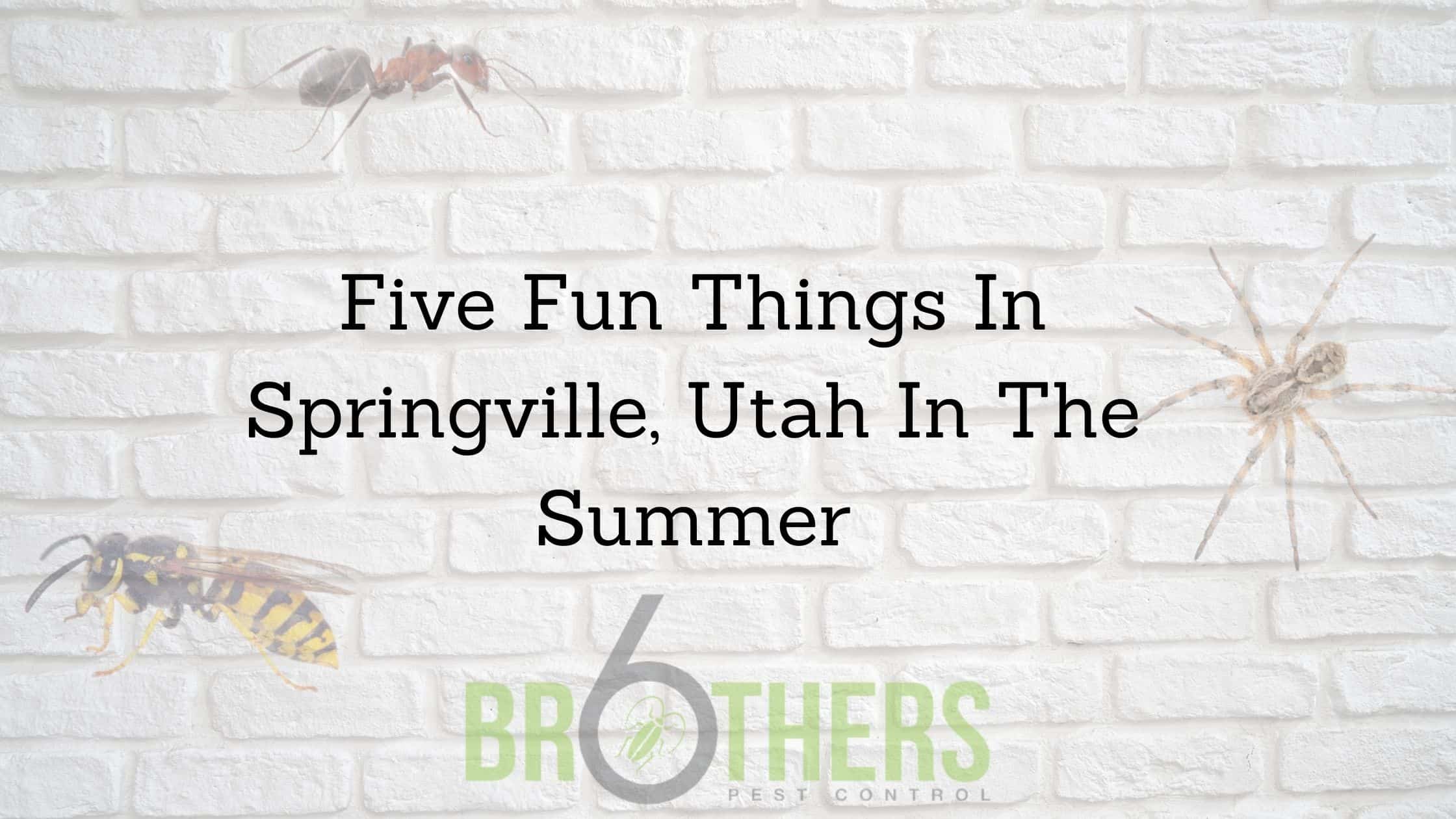 Five Fun Things In Springville, Utah In The Summer