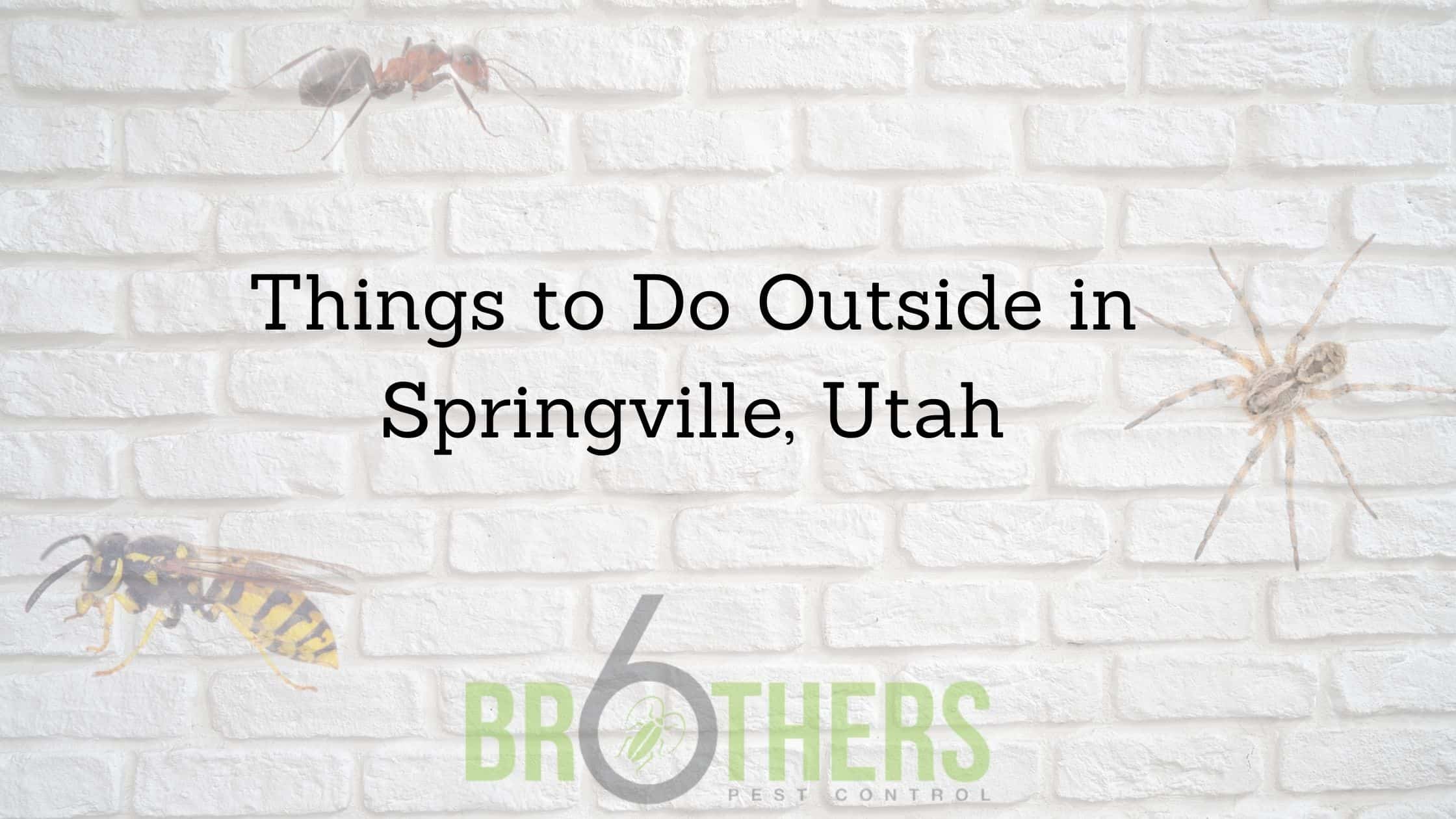 Things to Do Outside in Springville, Utah